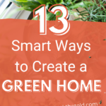 13-Smart-Ways-to-Create-a-Green-Home