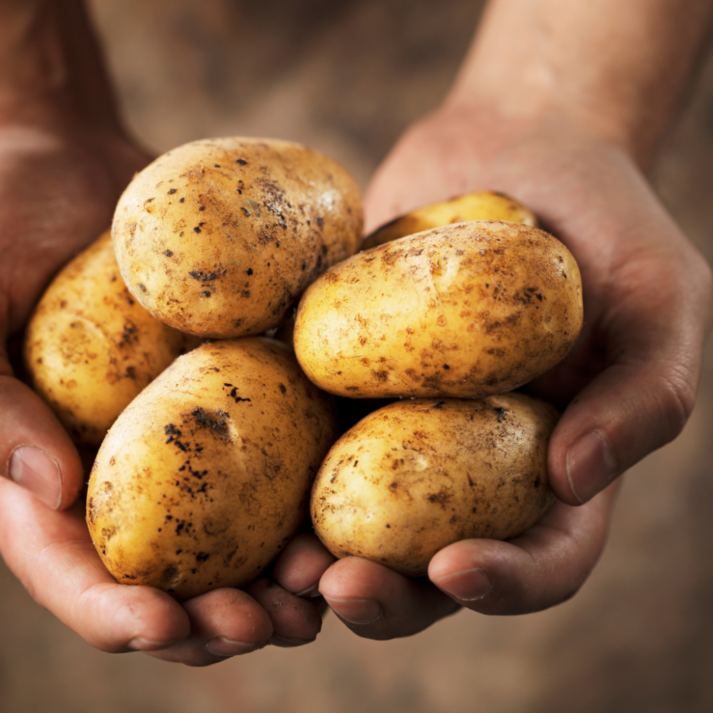 a man holding potassium-rich potatoes