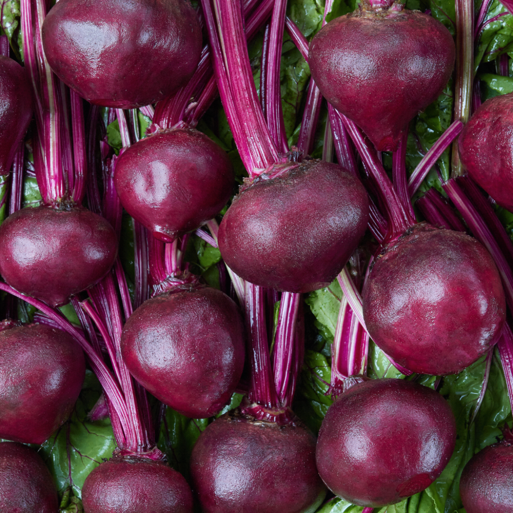 potassium-rich beets freshly harvested