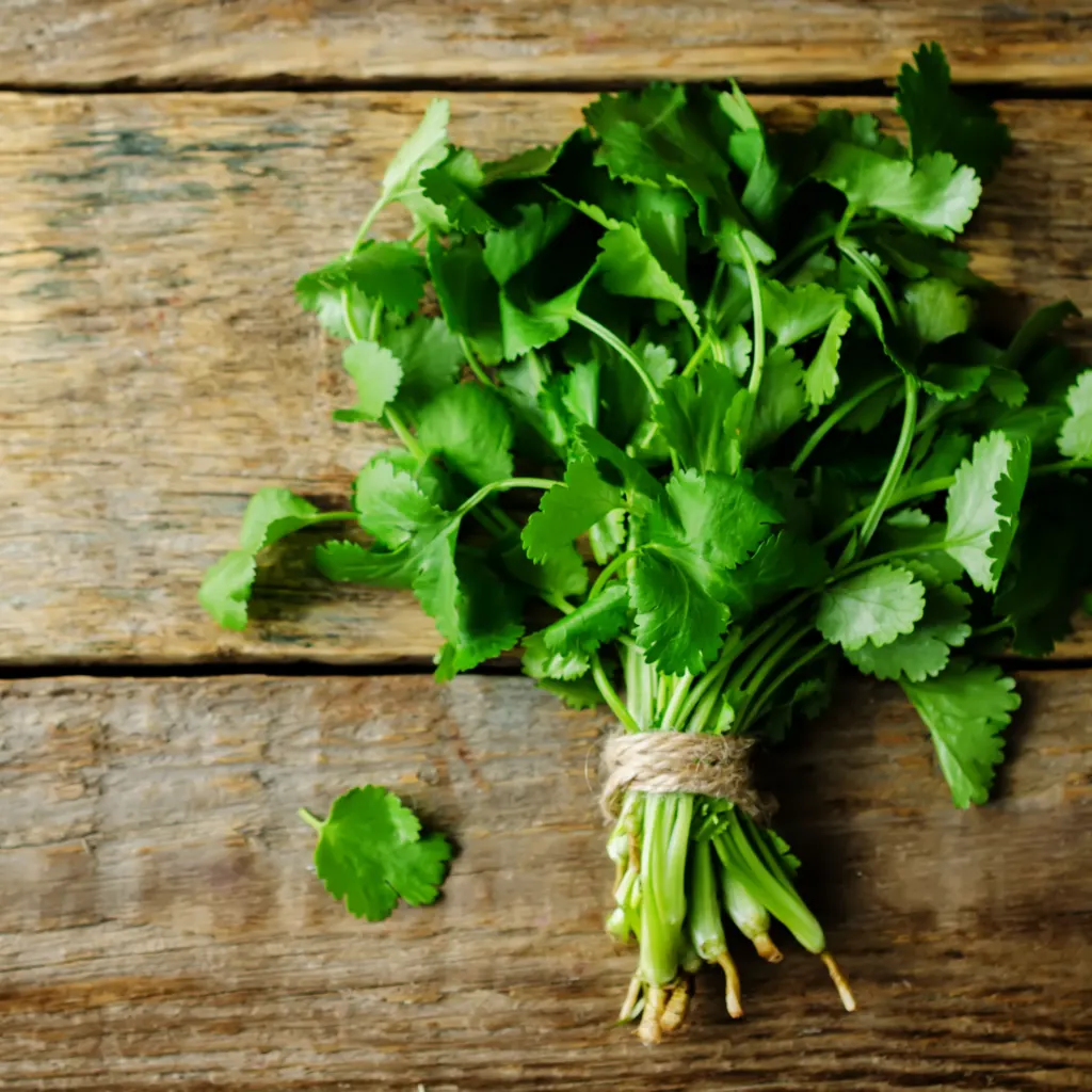 naturally detoxifying cilantro
