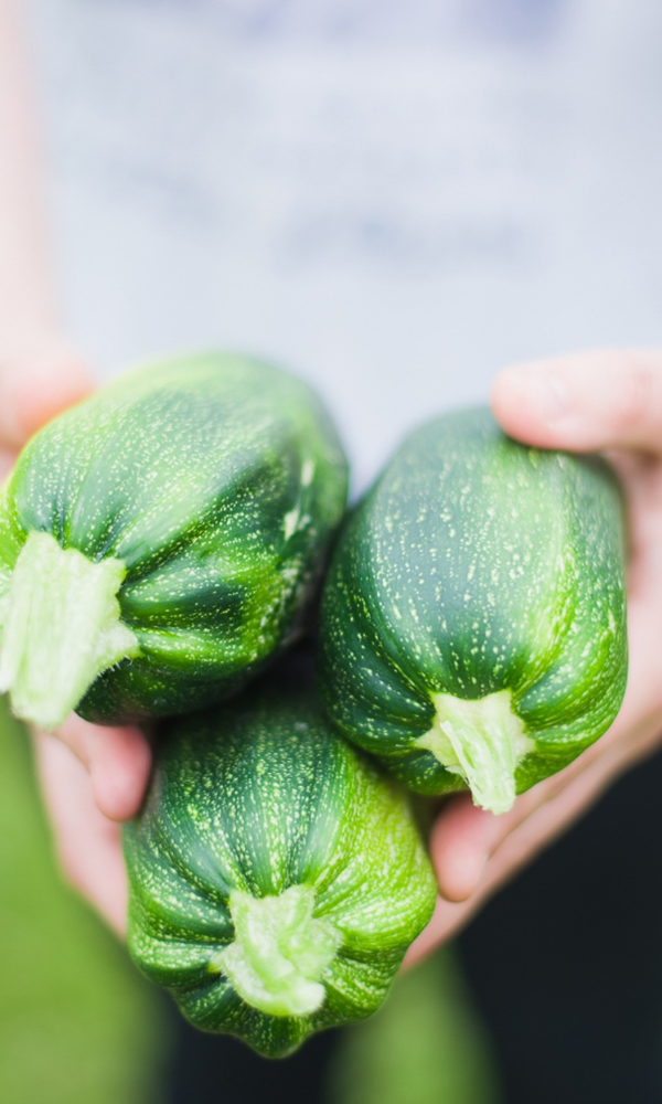 recently harvested zucchini snack