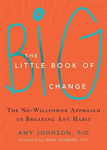 The-Little-Book-of-Boig-Change-by-Amy-Johnson